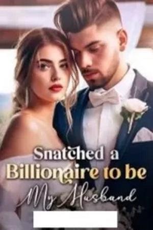 Snatched A Billionaire To Be My Husband by Shabi's pen